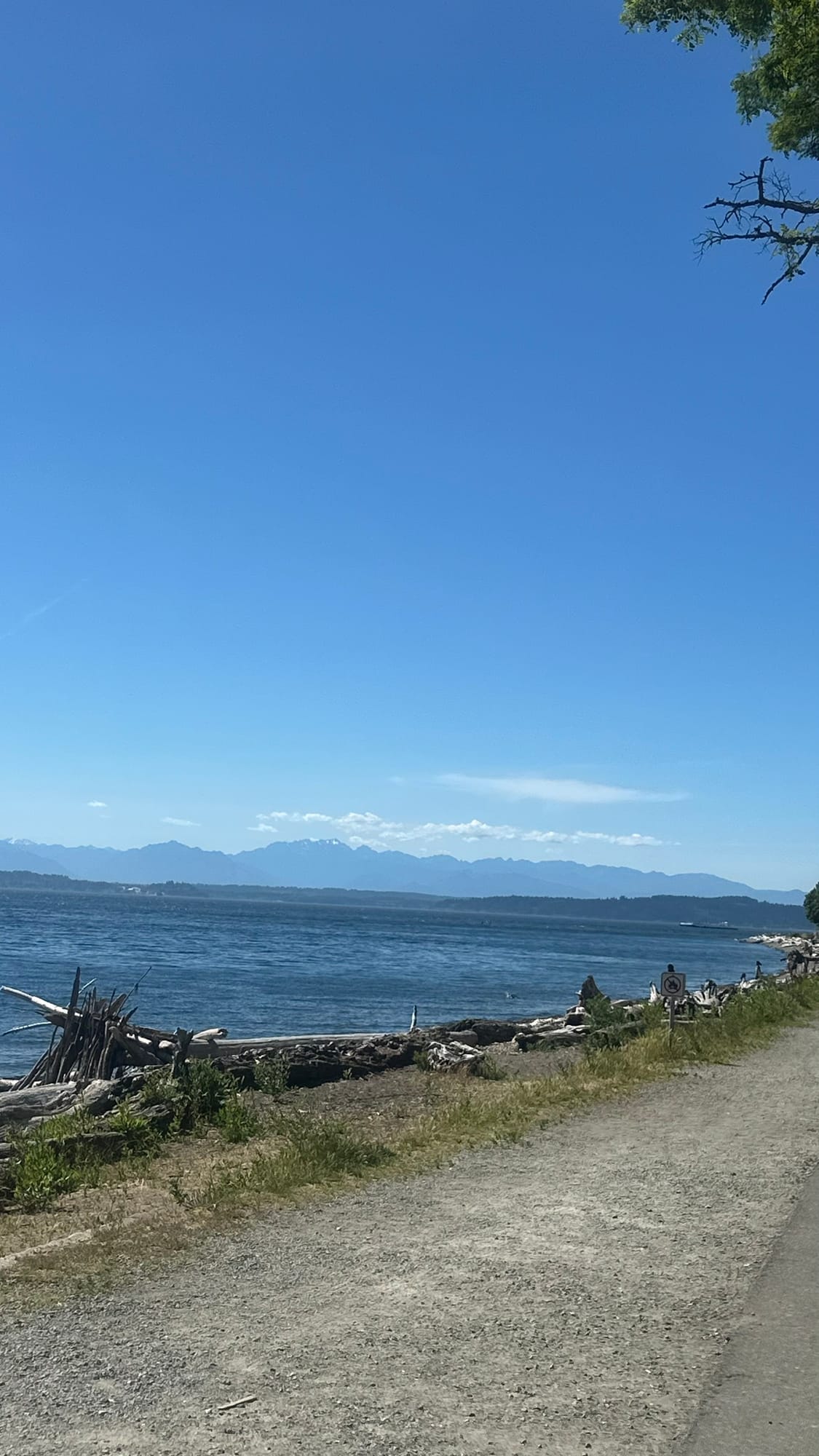 The shoreline at Colman Pool looking out at the Olympics