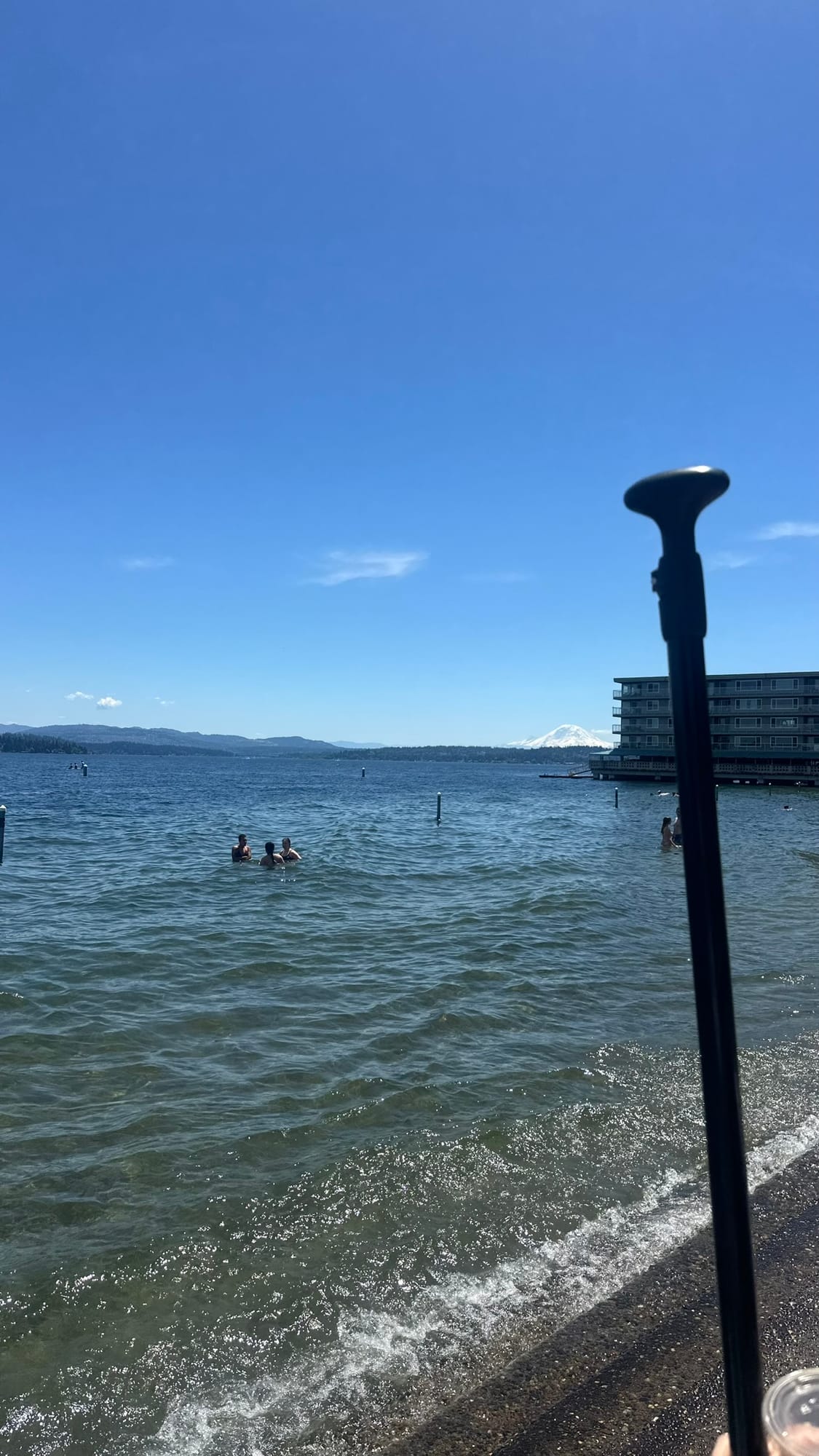 Swimmers in Lake Washington with Rainier behind and a paddle in the foreground