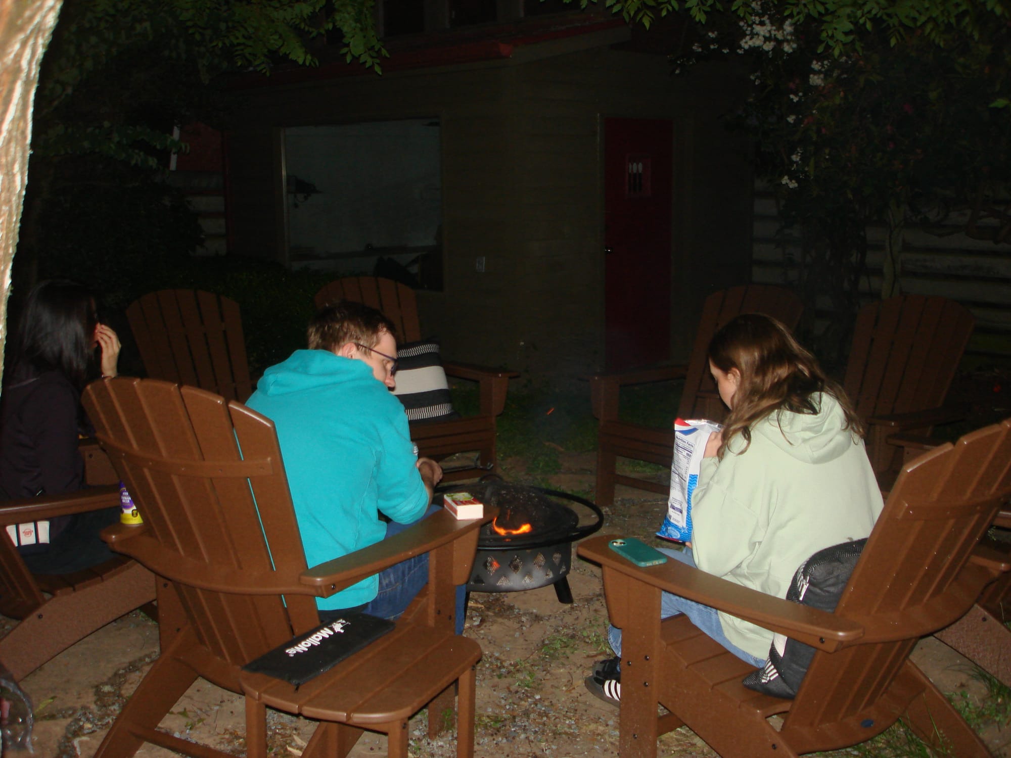 Fire pit at the dog birthday party that night
