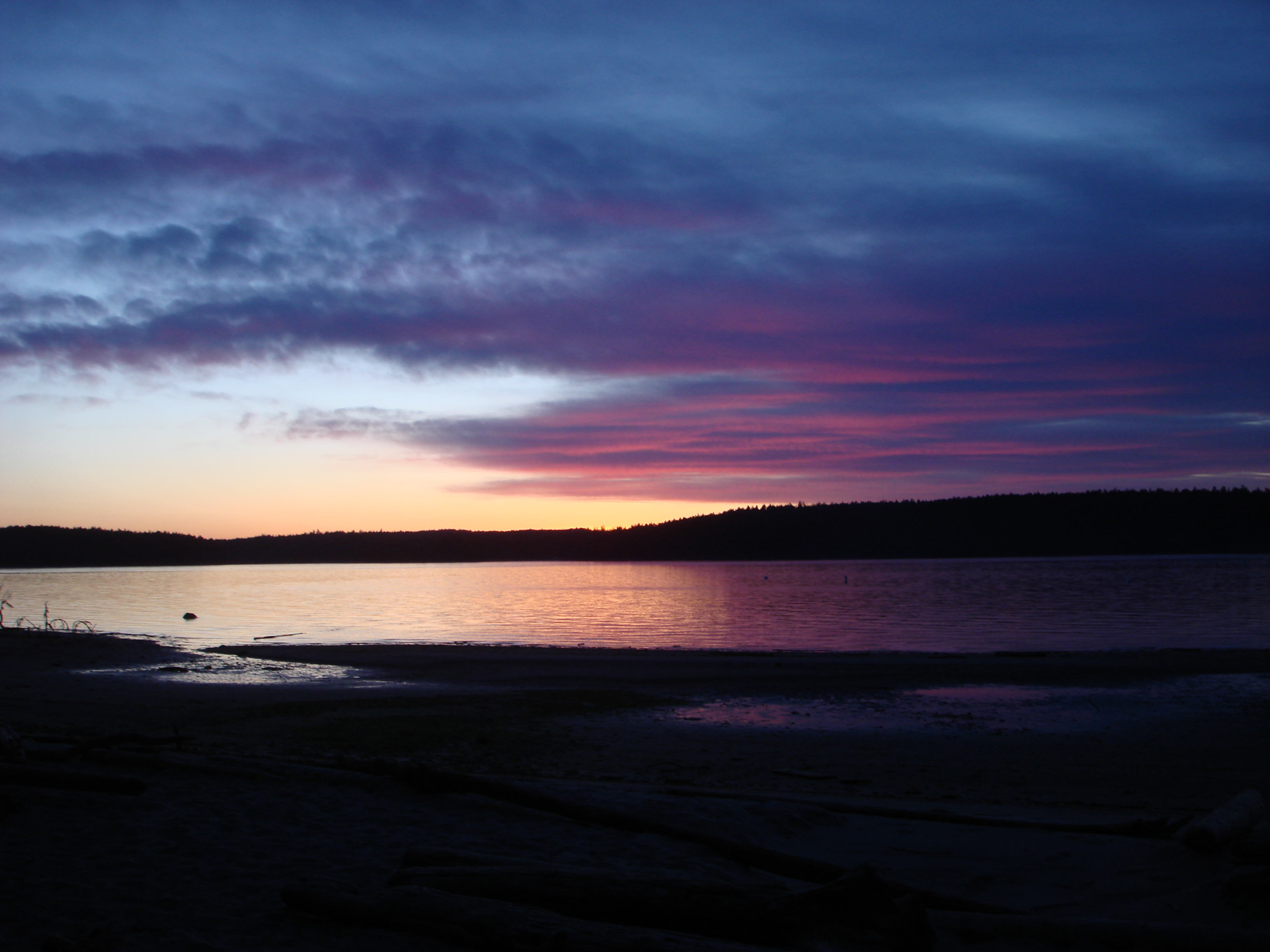Lopez Island sunset — deep purple and pink over the water, forest silhouette