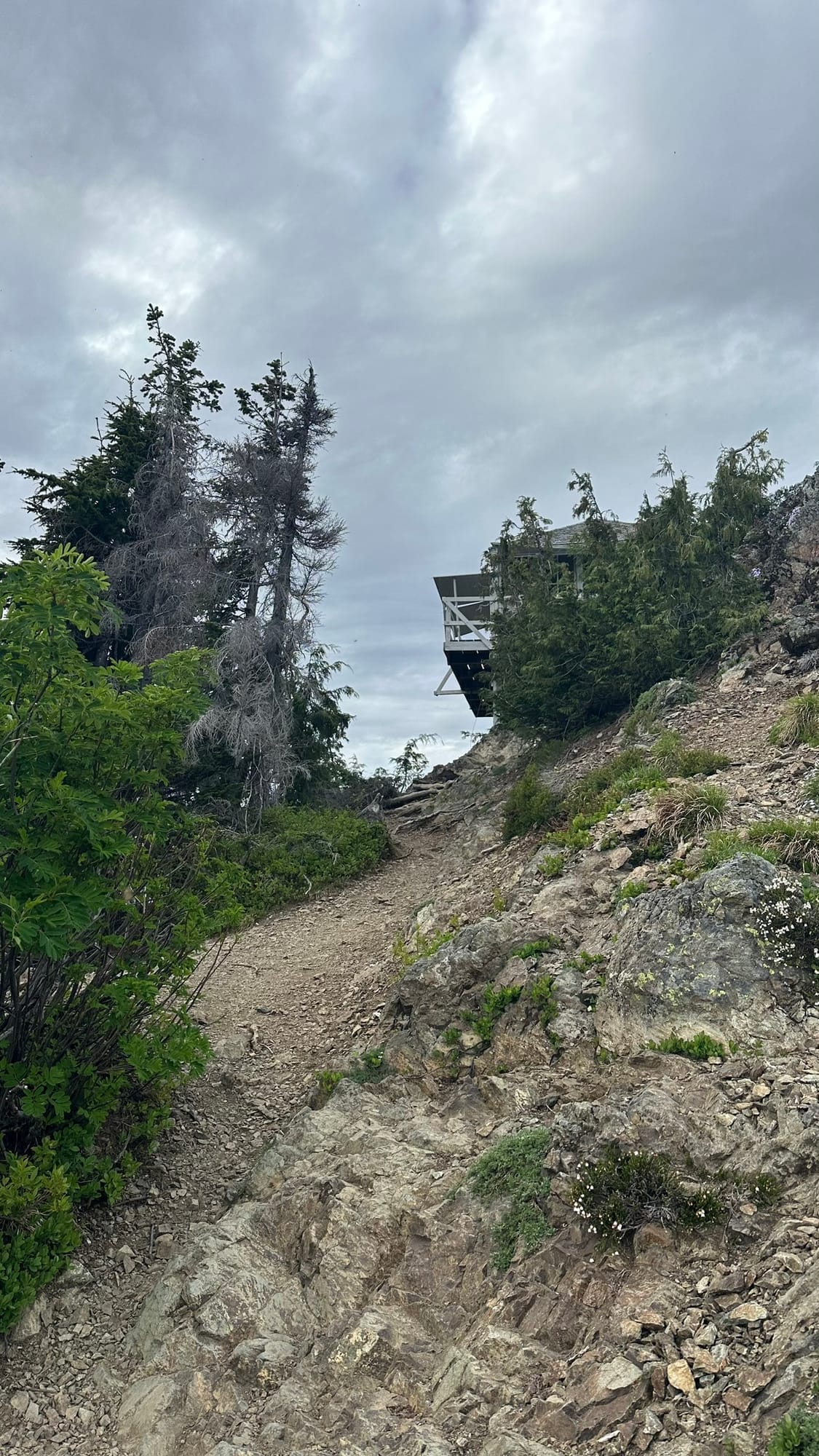 Looking up at the fire lookout structure