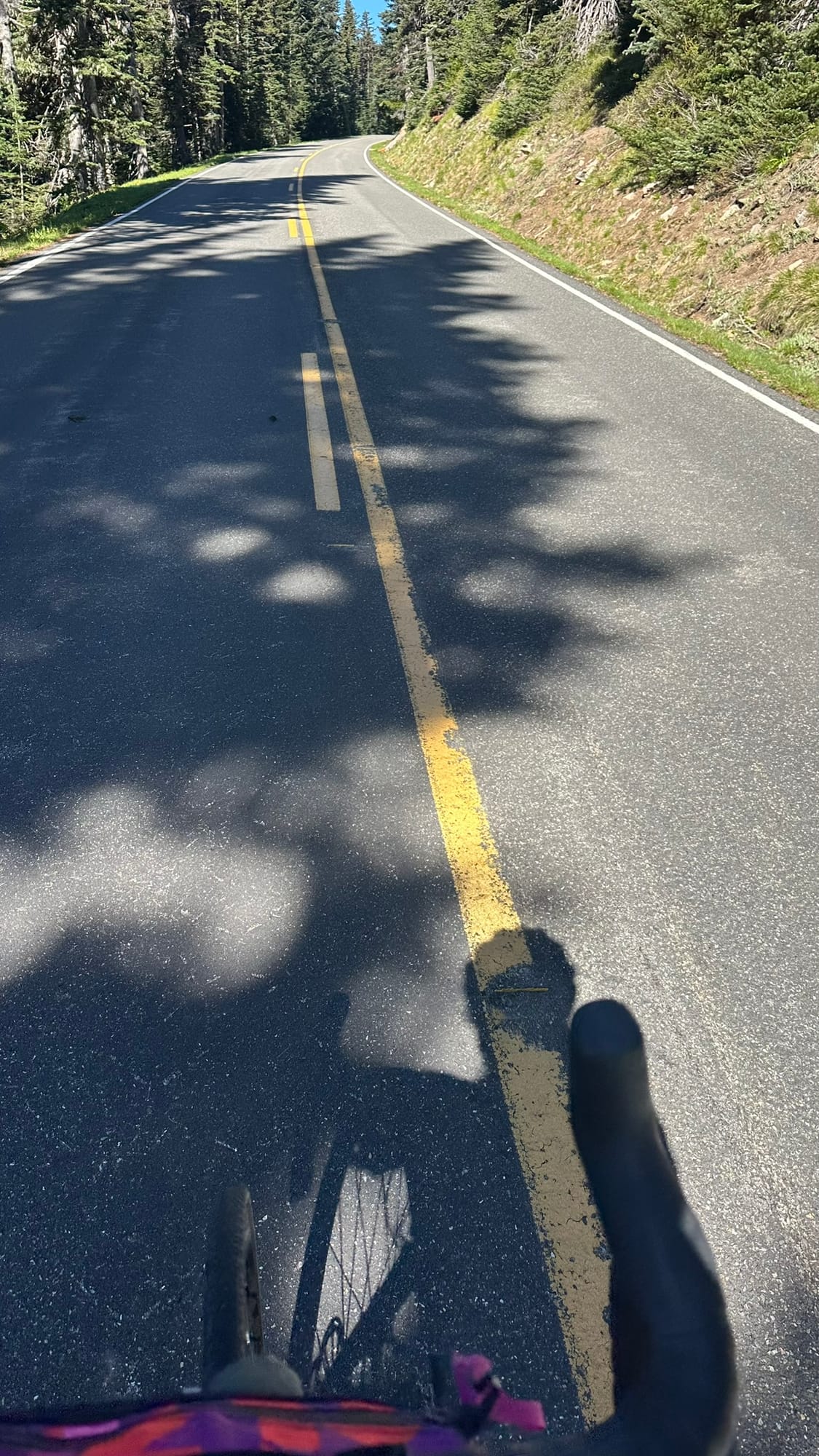 Bike shadow on the dappled road through the trees