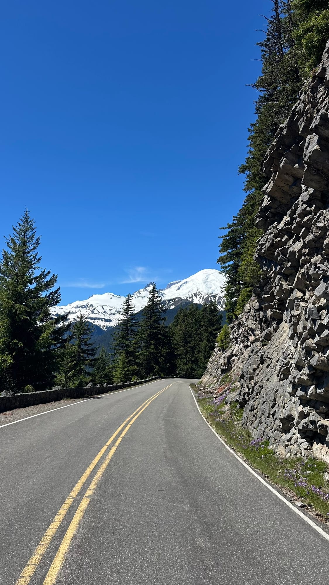 Road curving up with rock wall on right, wildflowers, and Rainier in the distance