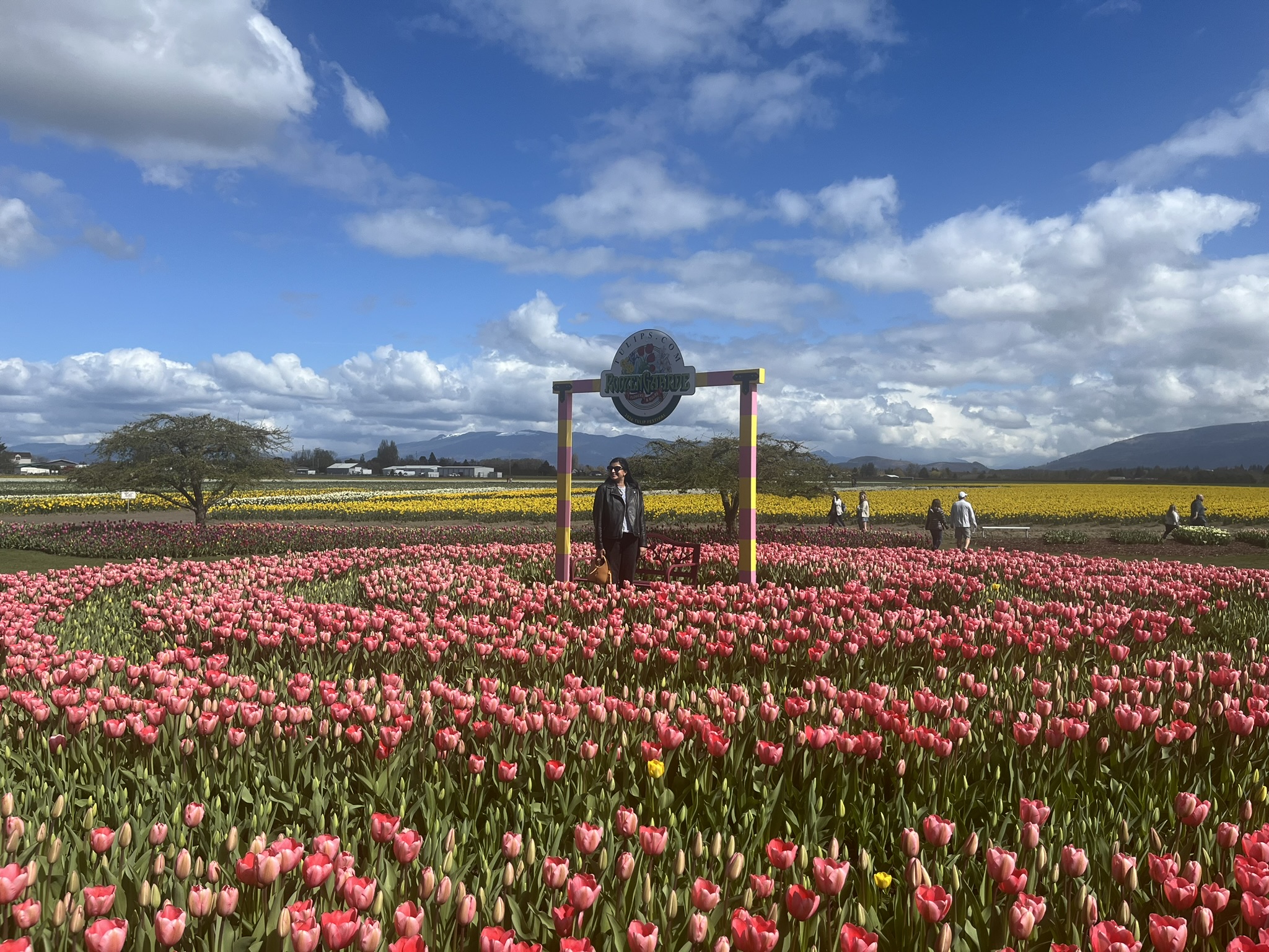 Standing under the Tulip Town sign in a sea of pink tulips, mountains and blue sky behind
