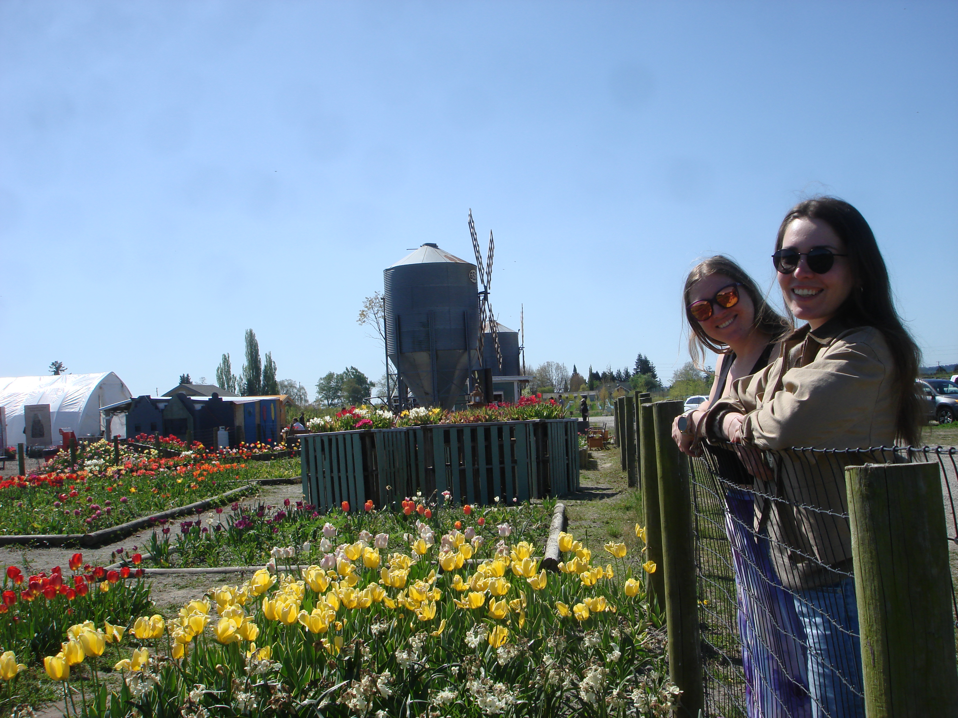 Two of us leaning on a fence with yellow tulips in the foreground and a windmill behind